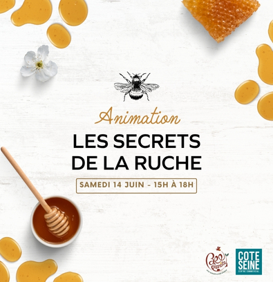 Animation Les Secrets de la ruche